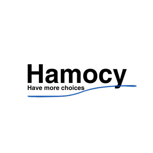 株式会社Hamocy