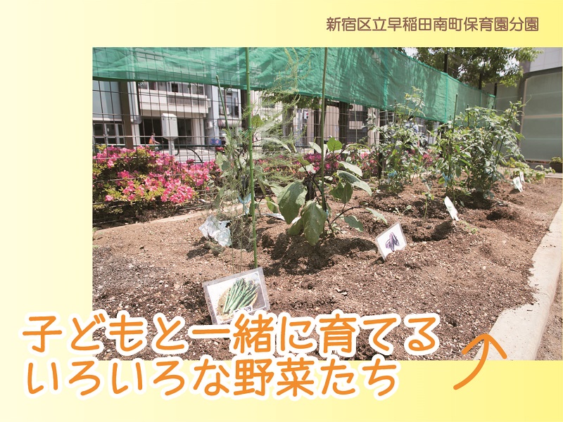 早稲田南分園【フルタイム】 のびのび♪いきいき♪子どもも先生も一緒に楽しむ。 新宿区内で「築山を作った泥遊び」など、広さを最大限に活かした保育を実践中。0